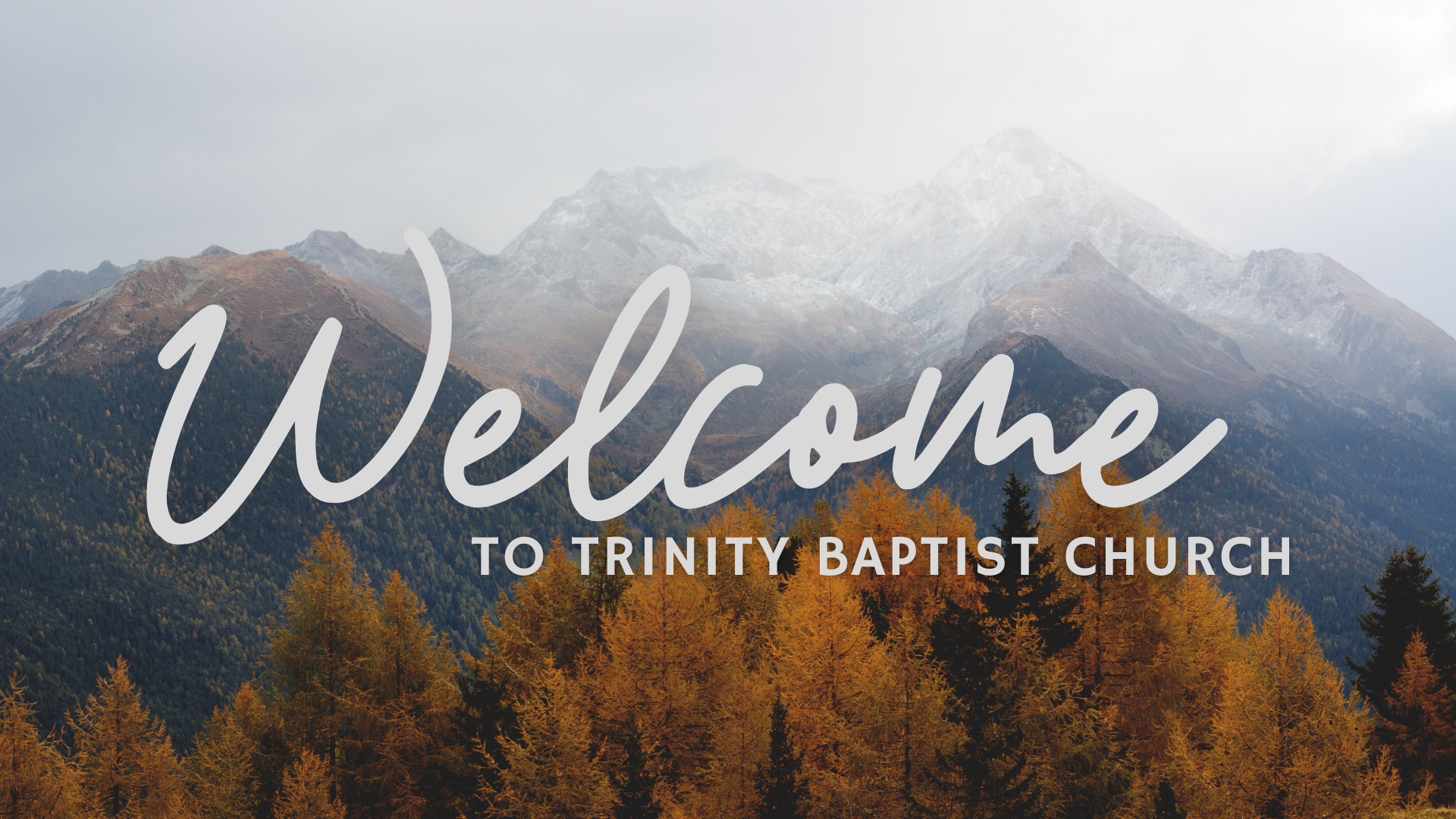 Copy of Welcome 5.png